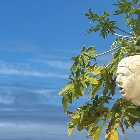 Pensión Bela Vigia 4*