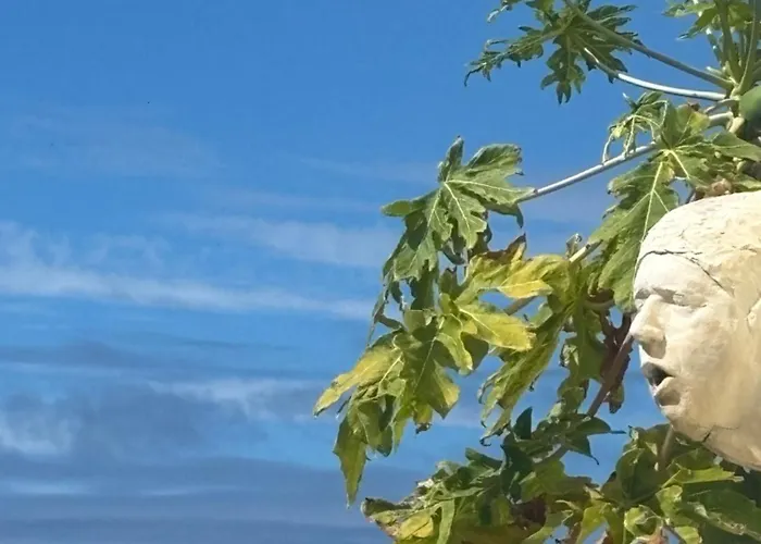 Pensjonat Bela Vigia 4*